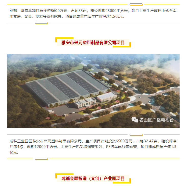 總投資157.1億元！四川省2019年第一季度重大項(xiàng)目集中開(kāi)工儀式雅安分會(huì)場(chǎng)在成雅工業(yè)園區(qū)舉行(圖6)